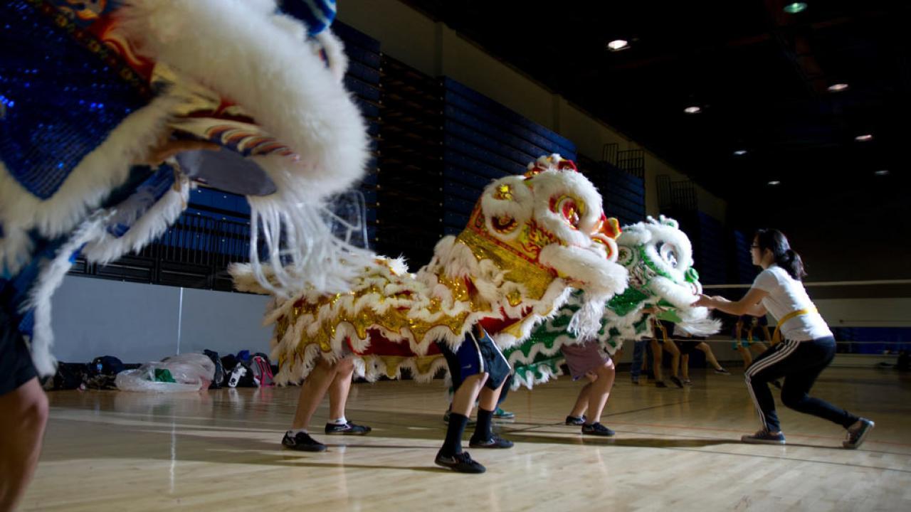 Students practice in the dancing lion dance club at UC Davis